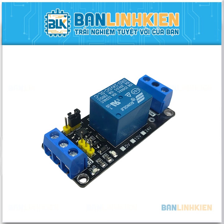 Module Relay Mini 1 Kênh 24V10A BLK