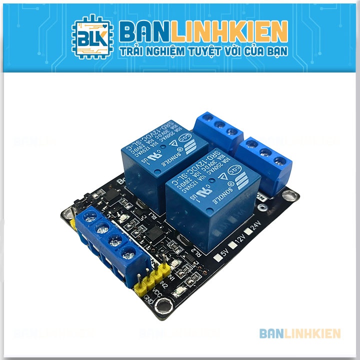 Module Relay Mini 2 Kênh 12V10A BLK