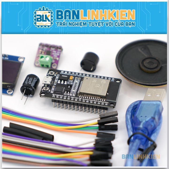 Bộ DIY Loa Thông Báo Chuyển Khoản ESP32 BLK (KIT)