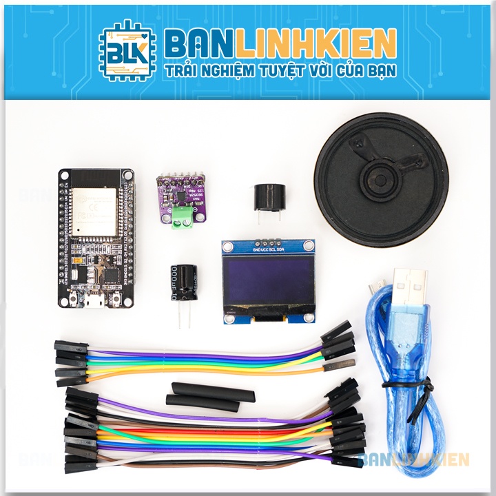 Bộ DIY Loa Thông Báo Chuyển Khoản ESP32 BLK (KIT)