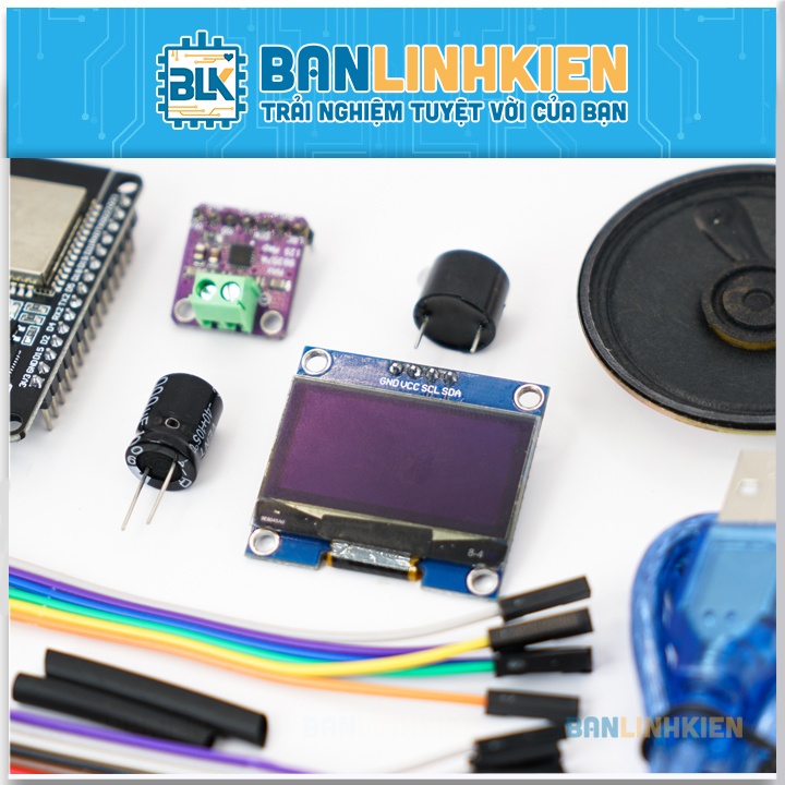 Bộ DIY Loa Thông Báo Chuyển Khoản ESP32 BLK (KIT)