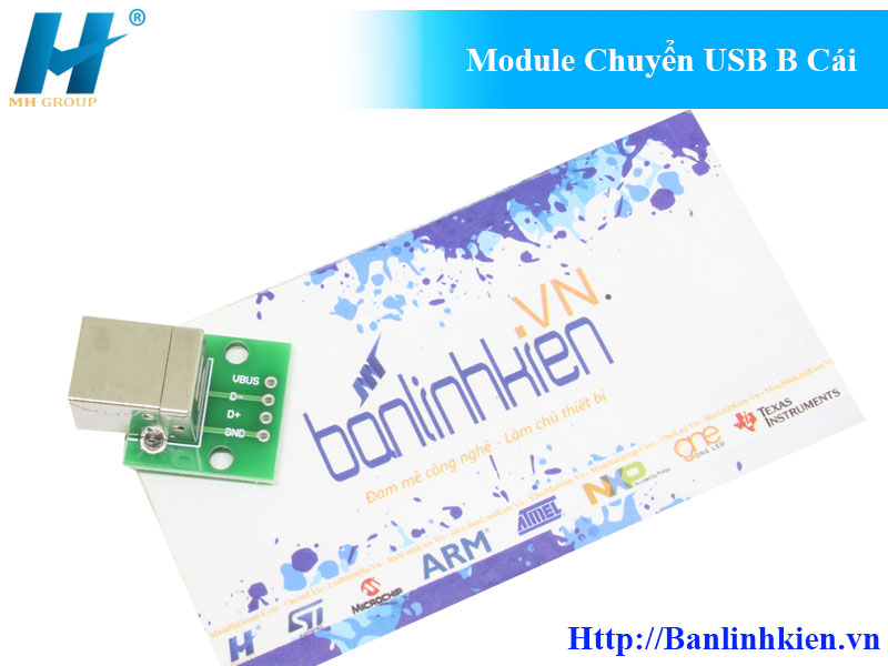 Module Chuyển USB B Cái