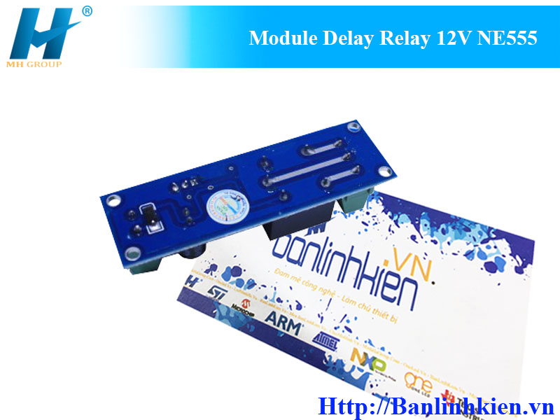 Module Delay Relay 12V NE555