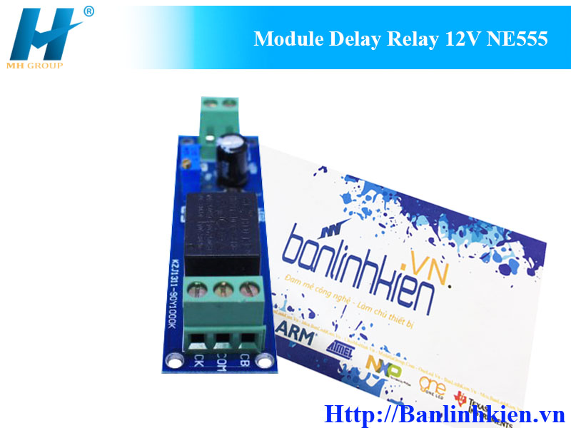 Module Delay Relay 12V NE555