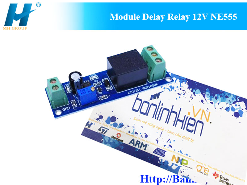 Module Delay Relay 12V NE555