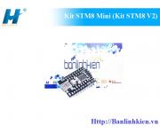 Kit STM8 Mini (Kit STM8 V2)