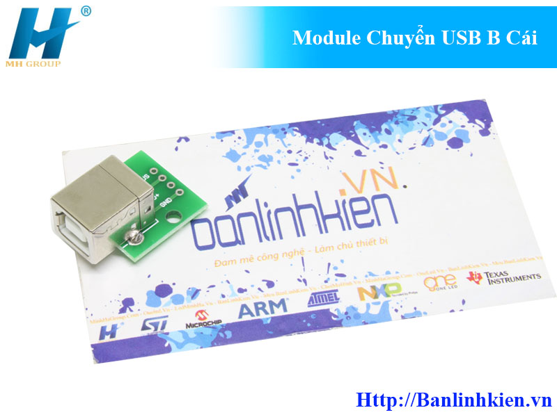 Module Chuyển USB B Cái