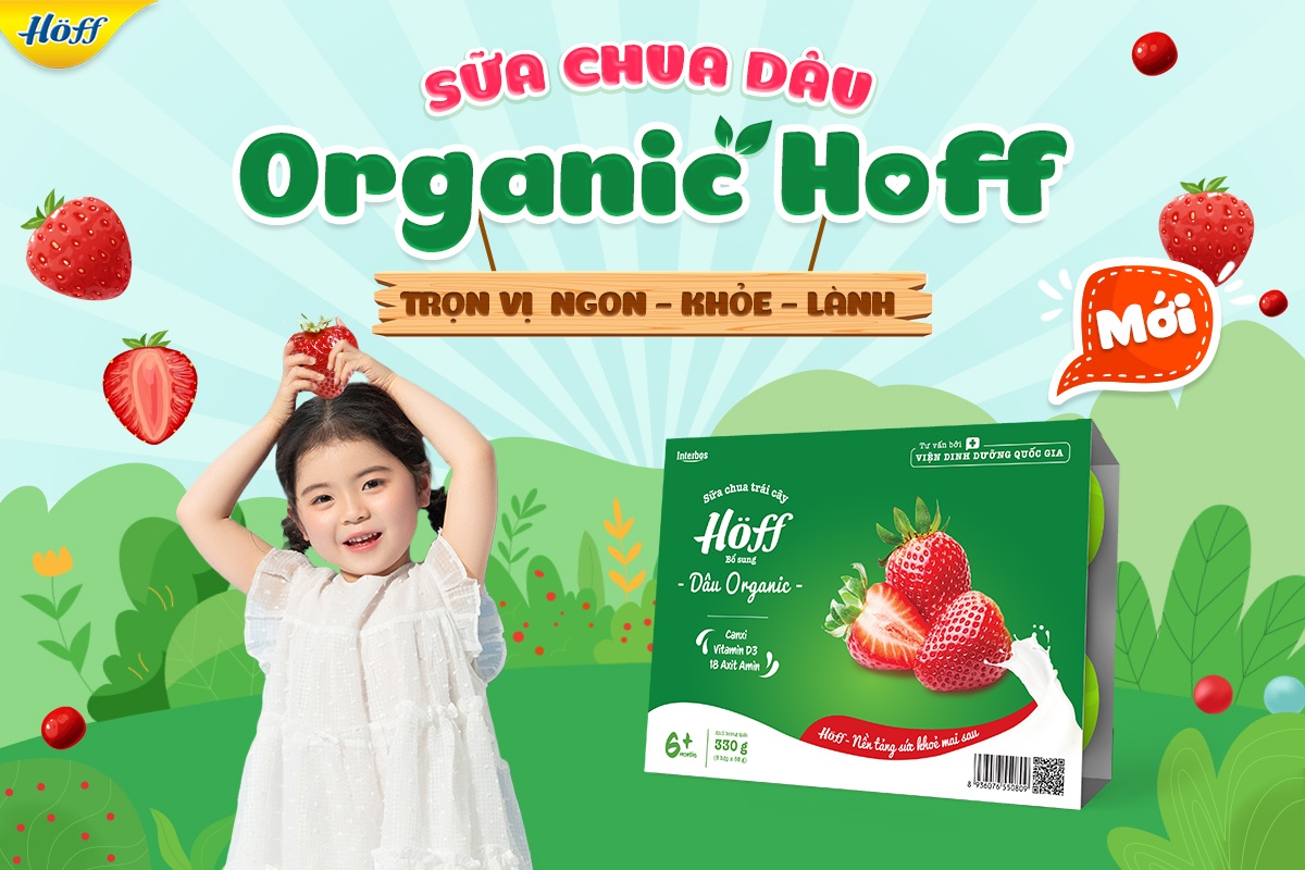 Sữa Chua Dâu Organic Hoff vỉ 6 hộp x 55g