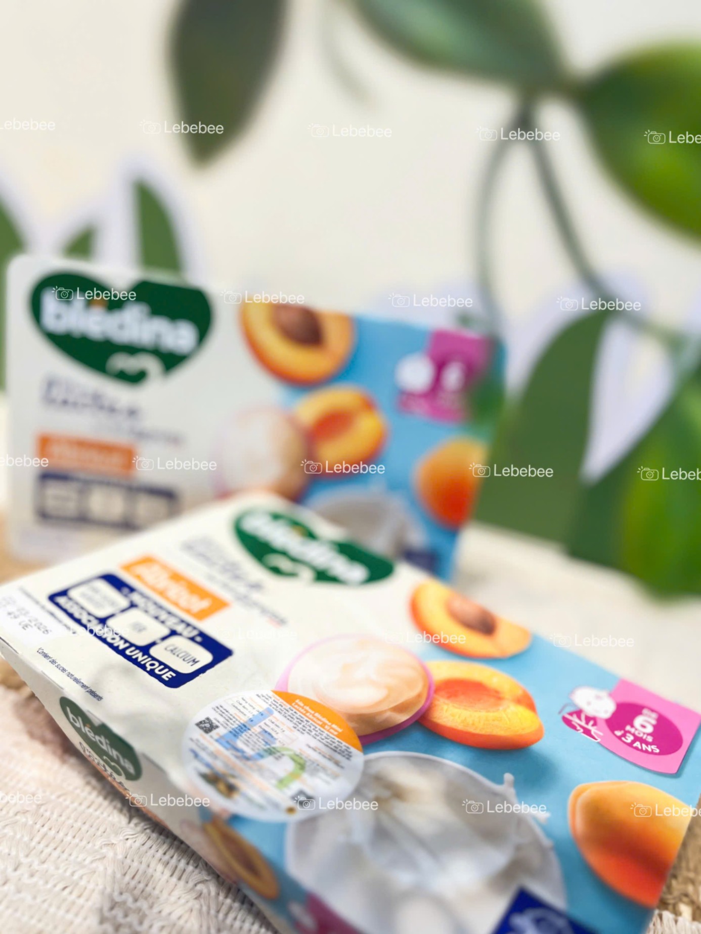 Sữa chua Bledina cho bé từ 6 tháng - Vị Mơ (vỉ 6 hộp * 60gr) hàng Nhập Khẩu