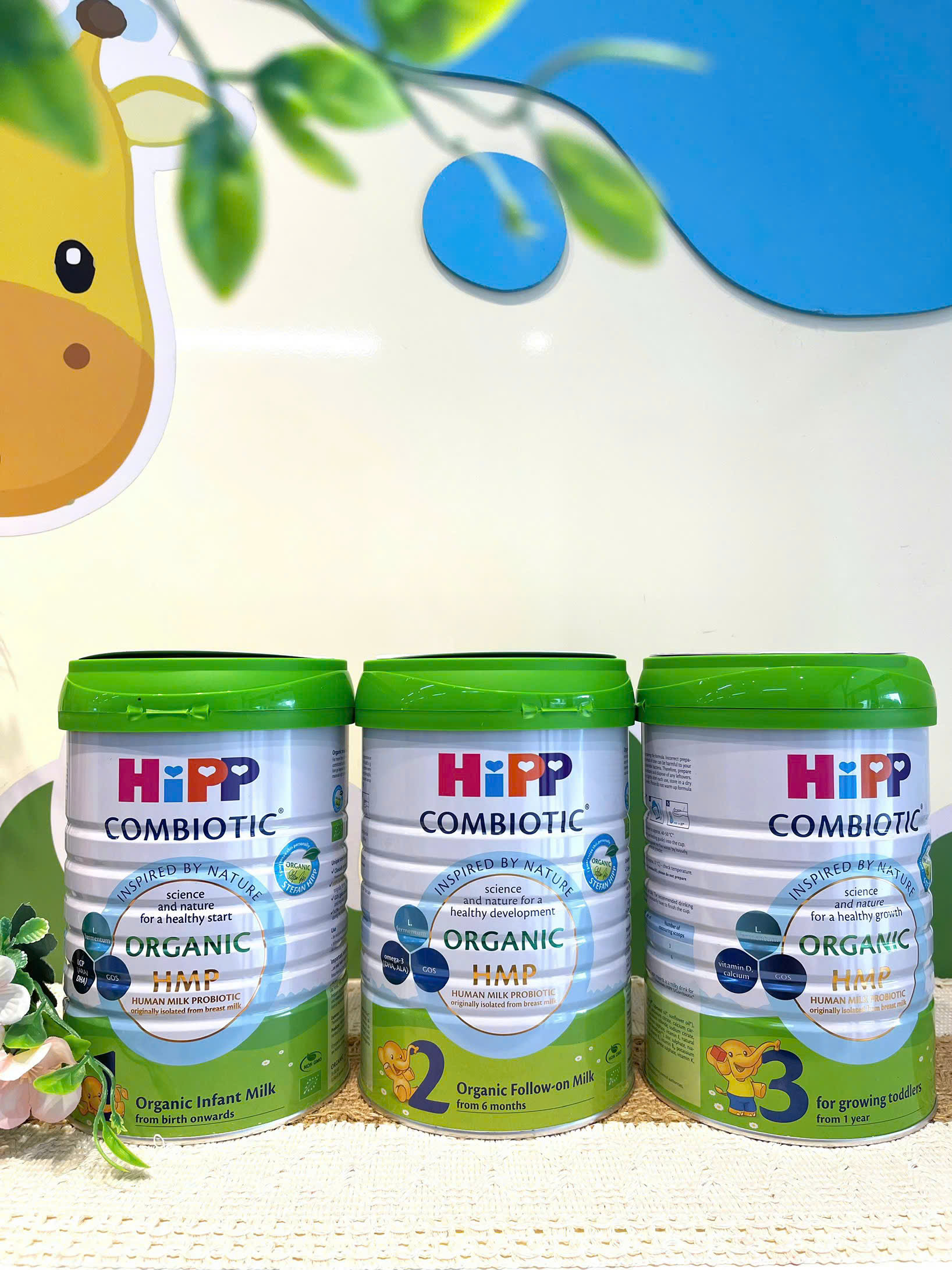 Sữa HiPP Organic Combiotic số 3 800g (1-3 tuổi)