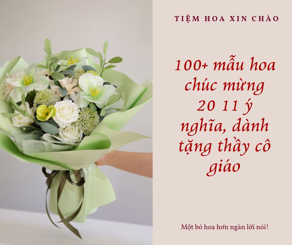 100+ mẫu hoa chúc mừng 20 11 ý nghĩa, dành tặng thầy cô giáo