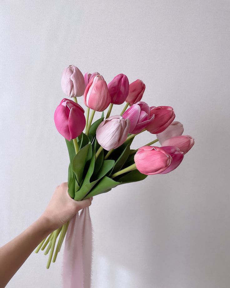 Hoa tulip hoa tặng valentine ý nghĩa