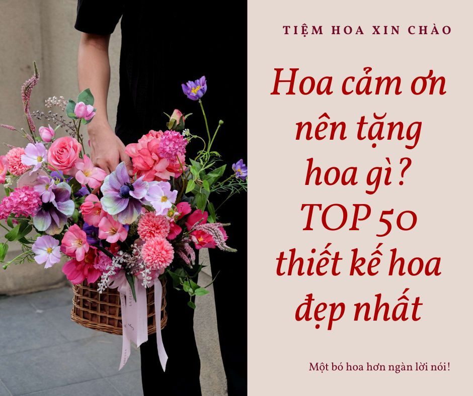 Hoa cảm ơn nên tặng hoa gì? TOP 50+ thiết kế hoa đẹp nhất
