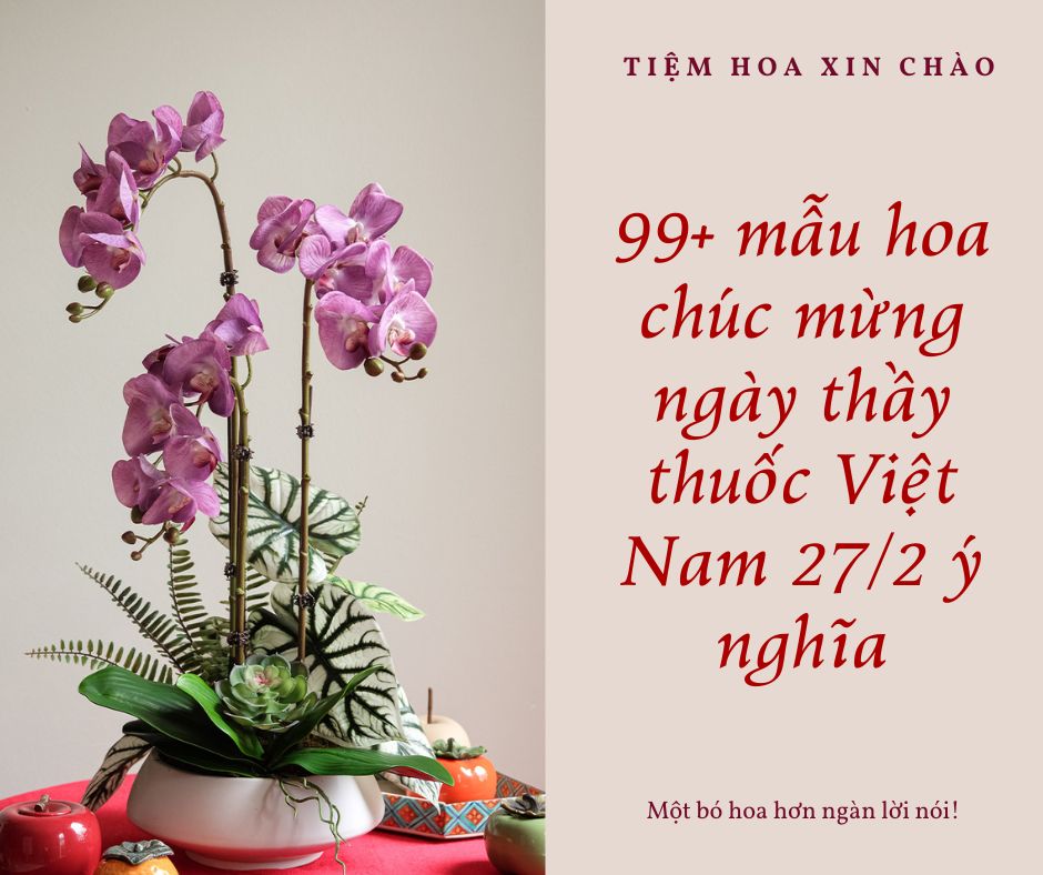 99+ mẫu hoa chúc mừng ngày thầy thuốc Việt Nam 27/2 ý nghĩa
