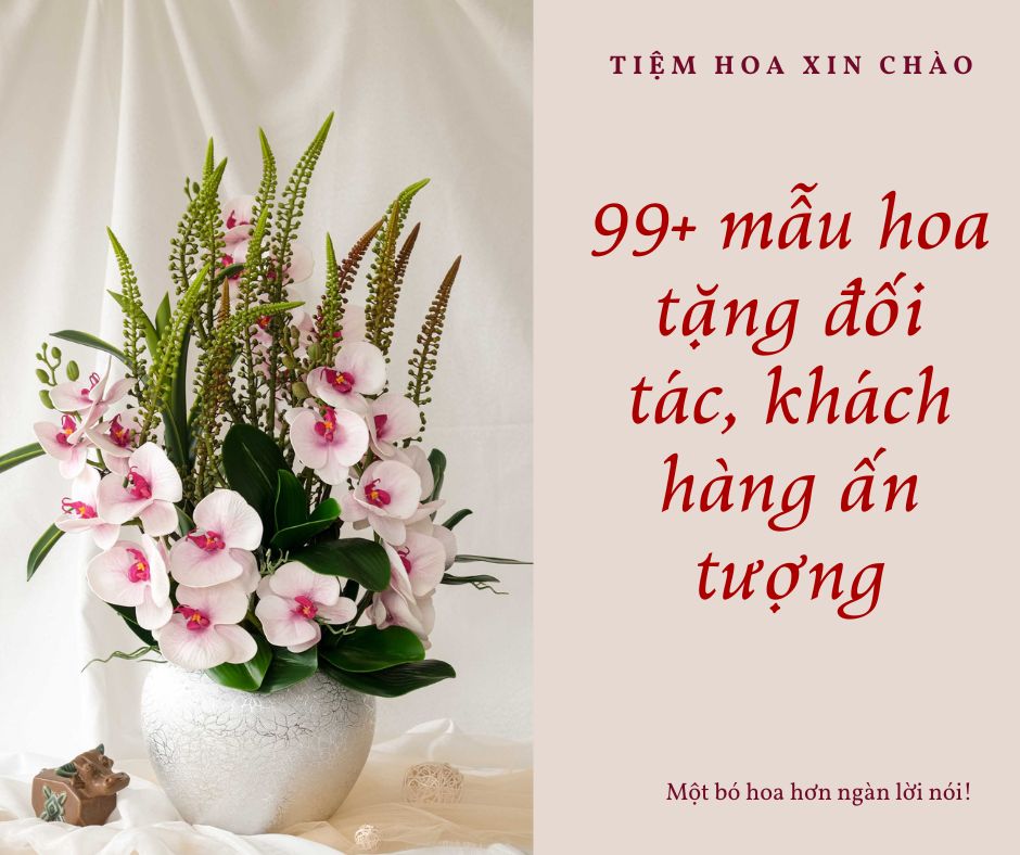 99+ mẫu hoa tặng đối tác, khách hàng ấn tượng và bí quyết tặng hoa ý nghĩa