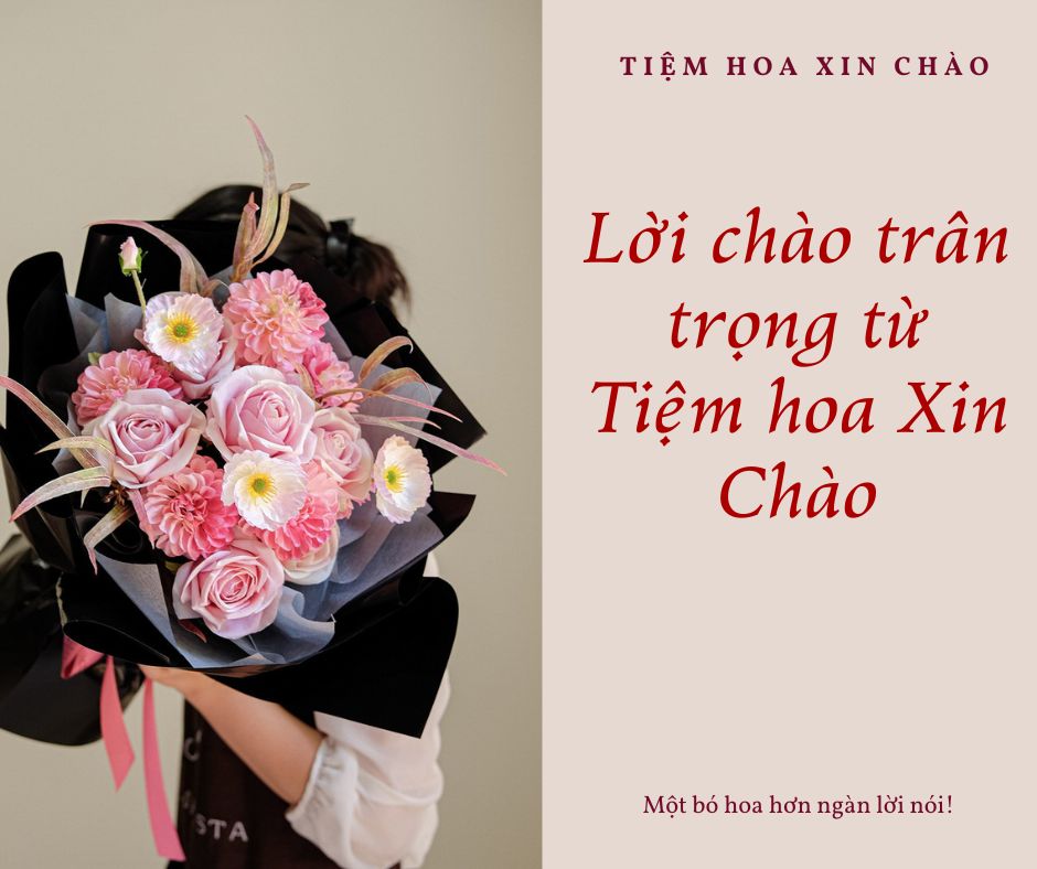 Giới thiệu về Tiệm hoa Xin Chào