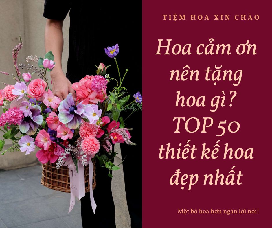 Hoa-cam-on-nen-tang-hoa-gi-TOP-50-thiet-ke-hoa-dep-nhat.jpg