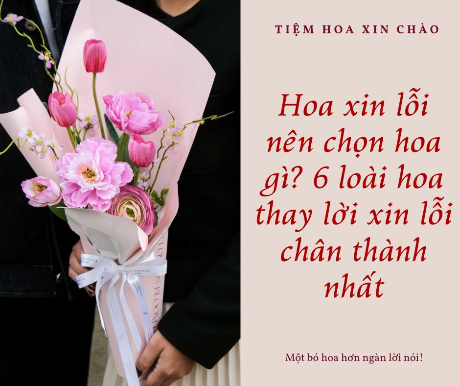 Hoa xin lỗi nên chọn hoa gì? 6 loài hoa thay lời xin lỗi chân thành nhất