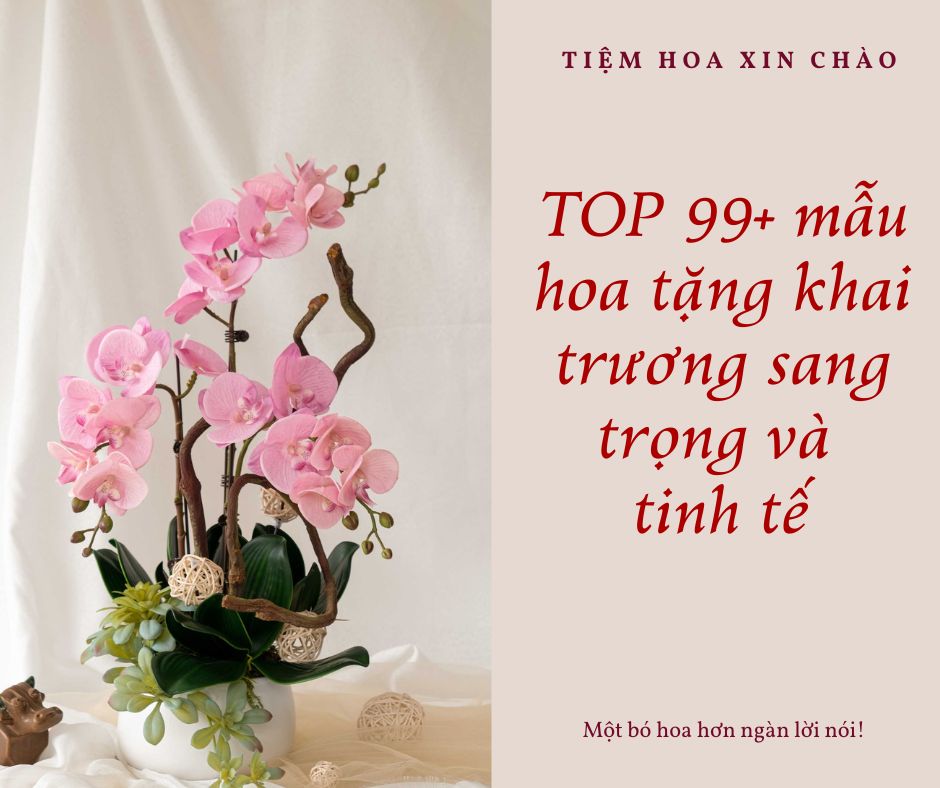 TOP 99+ mẫu hoa tặng khai trương sang trọng và tinh tế