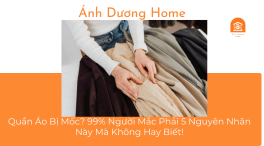 Quần Áo Bị Mốc? 99% Người Mắc Phải 5 Nguyên Nhân Này Mà Không Hay Biết! 