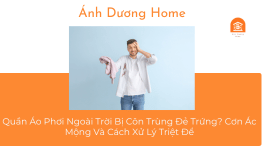 Quần Áo Phơi Ngoài Trời Bị Côn Trùng Đẻ Trứng? Cơn Ác Mộng Và Cách Xử Lý Triệt Để 
