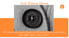 10+ Cách Bảo Quản Quần Áo Không Bị Mốc Hiệu Quả, Tạm Biệt Nỗi Lo Mùa Nồm 