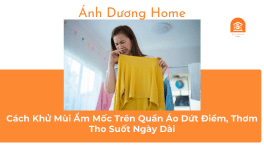 Cách Khử Mùi Ẩm Mốc Trên Quần Áo Dứt Điểm, Thơm Tho Suốt Ngày Dài 