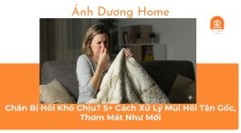 Chăn Bị Hôi Khó Chịu? 5+ Cách Xử Lý Mùi Hôi Tận Gốc, Thơm Mát Như Mới 