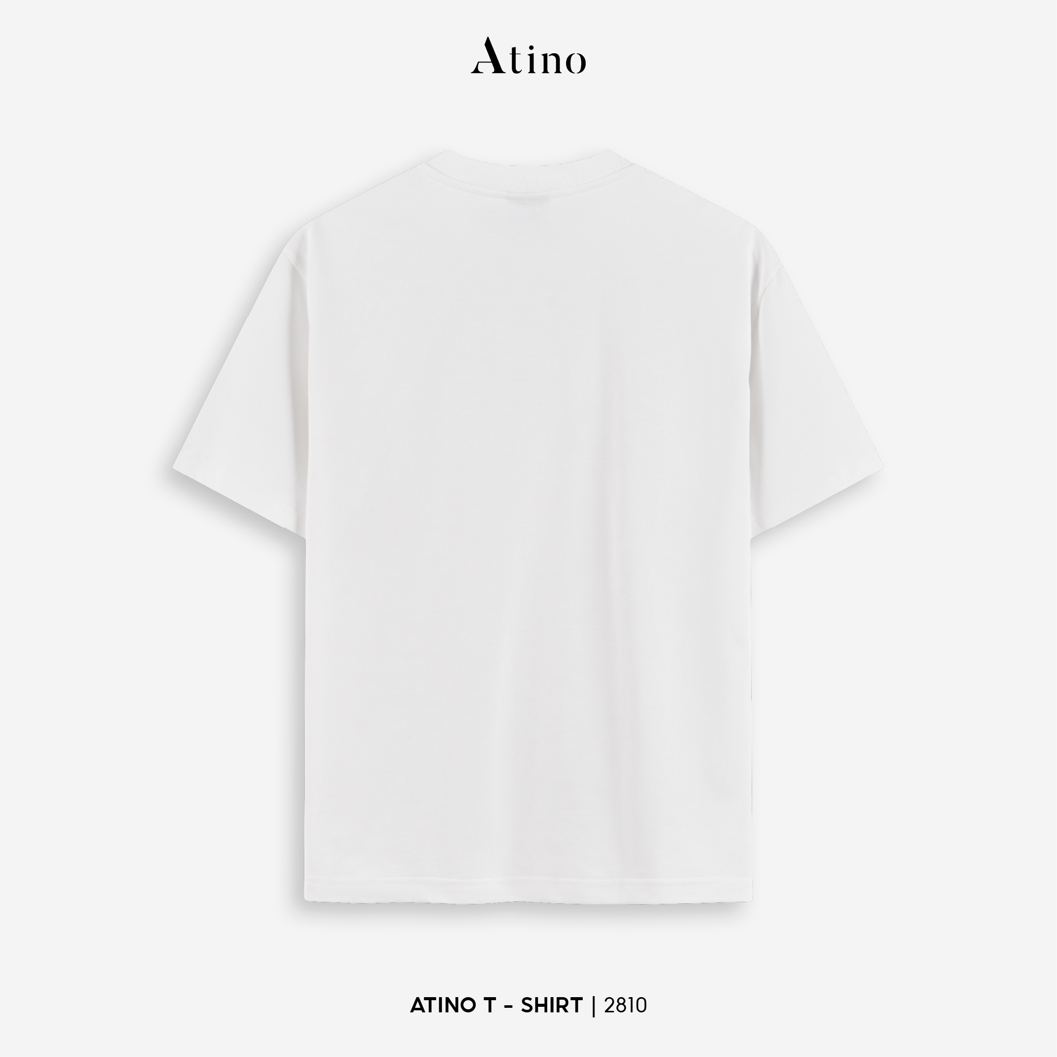 Áo Phông Regular L.3.2810