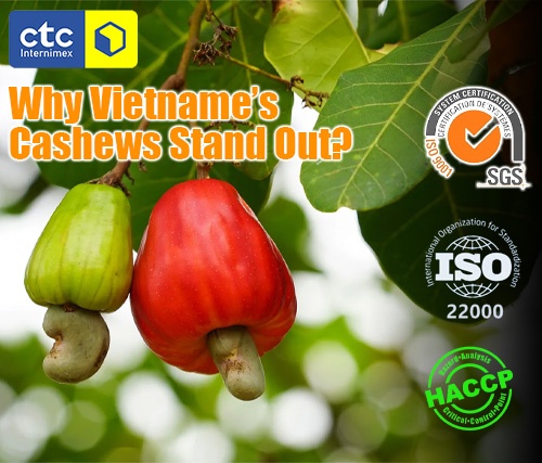 Why You Should Choose Cashew Nuts from Vietnam?