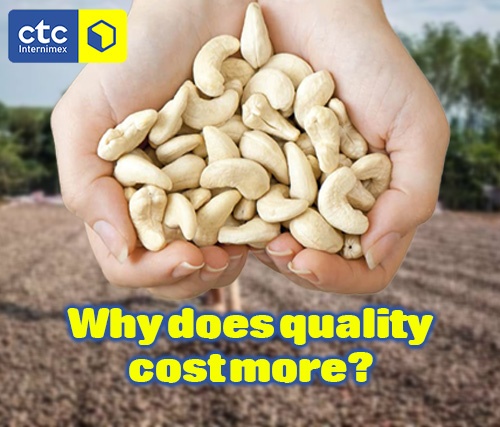 The Secret Behind the Premium Price: Why is Vietnamese Cashew More Expensive?