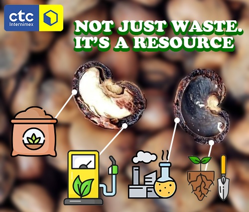 Cashew Shell Husk: 4 Surprising Benefits for Agriculture & Industry