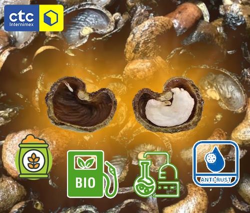 The Diverse Uses And Benefits of Cashew Nut Shells
