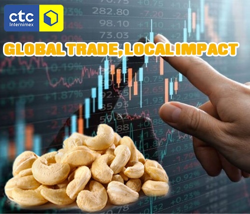 Why Do Cashew Prices Vary On A Monthly Basis?