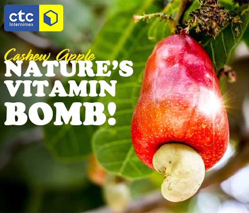 Discover The Health Benefits Of Cashew Apple