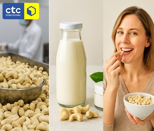 White Cashew Kernels: Versatile Uses & Health Benefits
