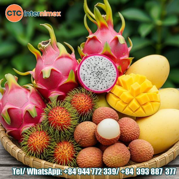 Vietnam’s Tropical Fruits: An Irresistible Charm In The Global Market