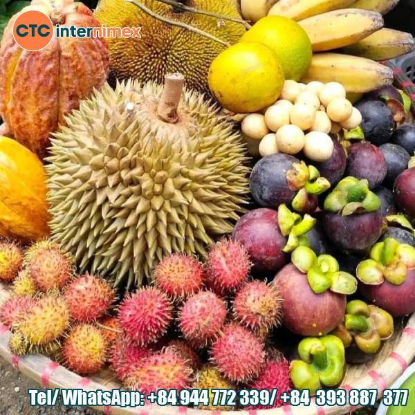 Vietnam’s Tropical Fruits: An Irresistible Appeal On The Global Market