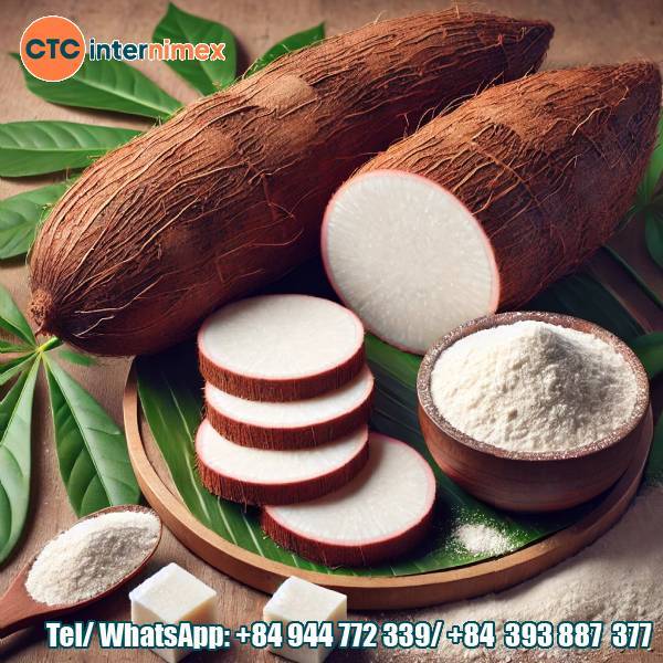Cassava & Cassava Starch Products From Vietnam: A Reliable Industrial Supply For Global Customers