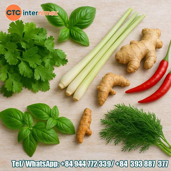 Freezing Technology Preserves Fresh Flavor For Vietnam’s Exported Herbs And Spices