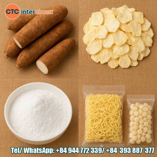 Vietnamese Cassava Export: A Sustainable Raw Material For Global Industries