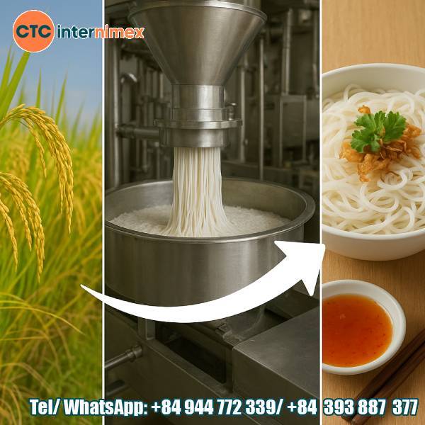 From Rice Fields To Dining Table: The Closed-Loop Production Process Of Dried Rice Vermicelli