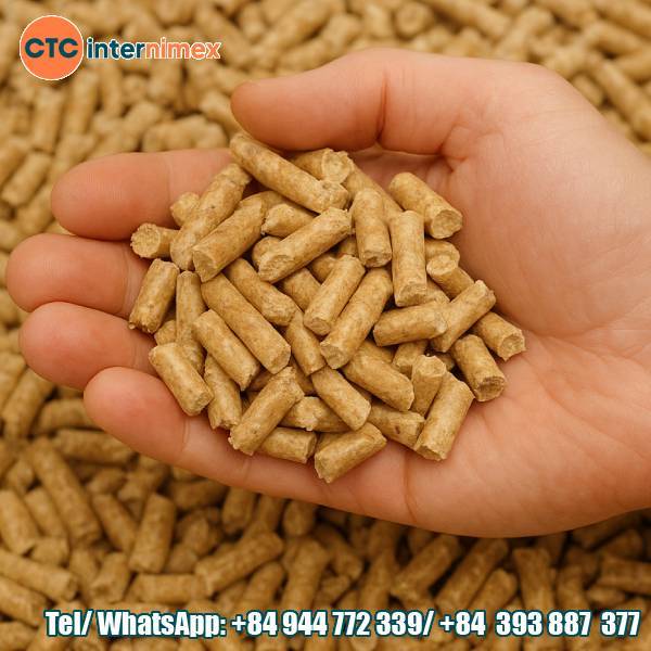 Current Situation and Market Trends of Vietnam’s Wood Pellet Exports 2024