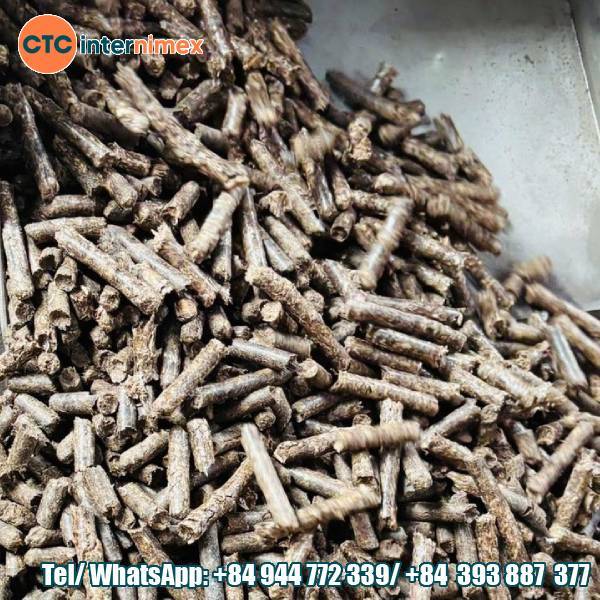 From Sawdust to Pellets: Optimizing Vietnam’s Wood Pellet Supply Chain for Sustainable Export