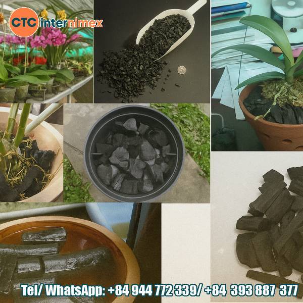 Secret To Growing Orchids: Effective Soil Treatment With Charcoal