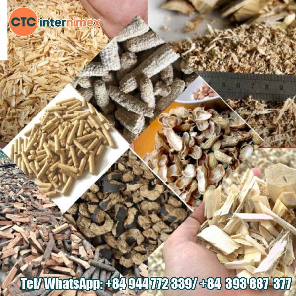 The Global Potential Of Vietnam’s Biomass Firewood Market