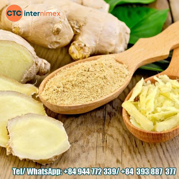 Vietnam Fresh Ginger Export: Large-Scale And Stable B2B Supply