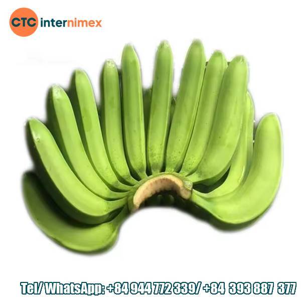 Fresh Cavendish Banana Large-Scale Export: Opportunities To Expand International Markets