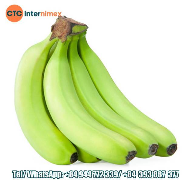 Stable Cavendish Banana Supply For The International Export Market