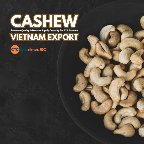 B2B Cashew Sourcing: Why Global F&B Factories Are Shifting to Vietnamese Suppliers